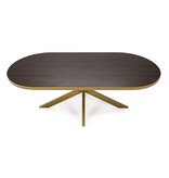 KantoormeubelenPlus Stalux Plat ovale eettafel 'Noud' 240 x 100, kleur goud / bruin hout