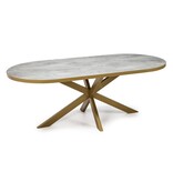 KantoormeubelenPlus Stalux Plat ovale eettafel 'Noud' 210 x 100, kleur goud / beton