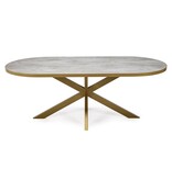 KantoormeubelenPlus Stalux Plat ovale eettafel 'Noud' 210 x 100, kleur goud / beton