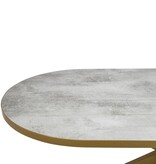 KantoormeubelenPlus Stalux Plat ovale eettafel 'Noud' 210 x 100, kleur goud / beton