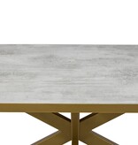 KantoormeubelenPlus Stalux Plat ovale eettafel 'Noud' 210 x 100, kleur goud / beton