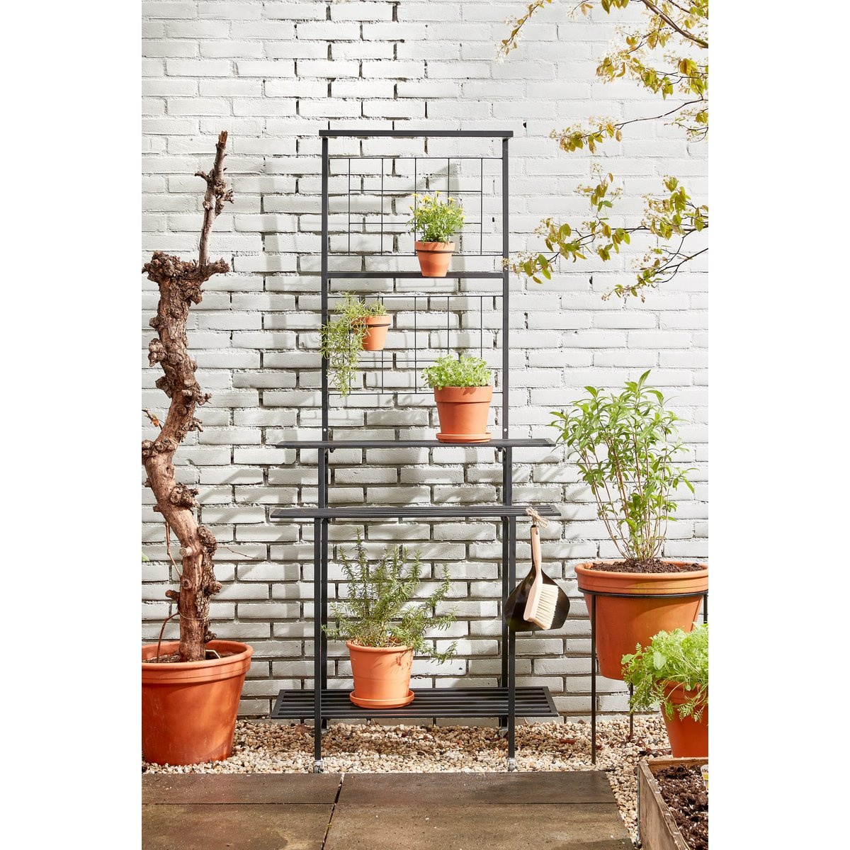 KantoormeubelenPlus Greenrax Plantenstandaard - L90 x B44 x H190 cm - Metaal - Zwart