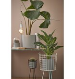 KantoormeubelenPlus Hella Glazen Stolp - H38 x Ø23 cm - Transparant, Wit