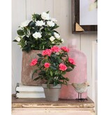 KantoormeubelenPlus Rozenstruik Kunstplant in Bloempot Stan - H33 x Ø25 cm - Wit