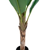 KantoormeubelenPlus Bananenpalm