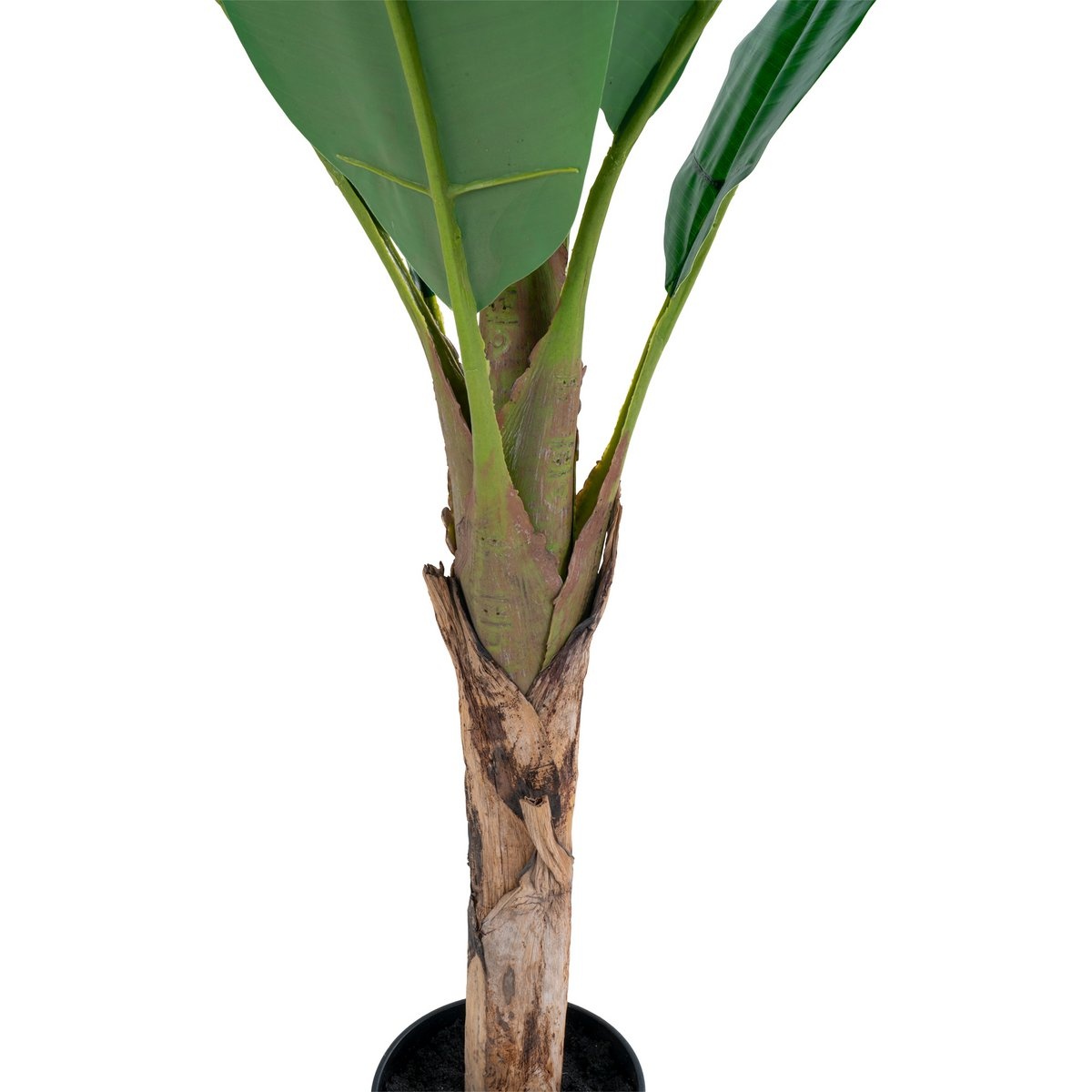 KantoormeubelenPlus Bananenpalm