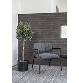 KantoormeubelenPlus Olijfboom