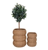 KantoormeubelenPlus Sarbas Manden - Natuur