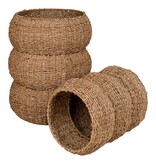 KantoormeubelenPlus Sarbas Manden - Natuur