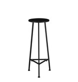 KantoormeubelenPlus Plantentafel - H80 x Ø30 cm - Metaal - Zwart