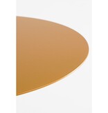 KantoormeubelenPlus Ruben Plantentafel - H60 x Ø24 cm - Metaal - Oker