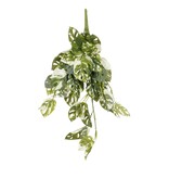 KantoormeubelenPlus Monstera Adansonii Kunst Hangplant - H69 cm - Groen Bont