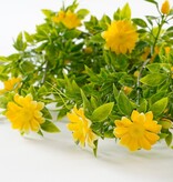 KantoormeubelenPlus Margriet Kunst Hangplant - H60 cm - Geel