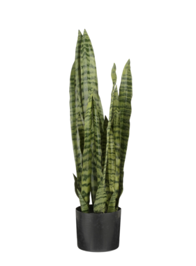 KantoormeubelenPlus Sanseveria Kunstplant in Bloempot - H80 x Ø15 cm - Groen