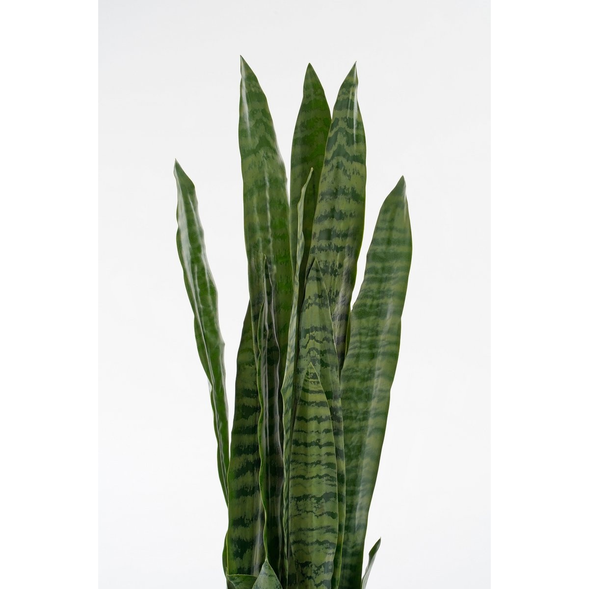 KantoormeubelenPlus Sanseveria Kunstplant in Bloempot - H80 x Ø15 cm - Groen