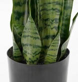 KantoormeubelenPlus Sanseveria Kunstplant in Bloempot - H80 x Ø15 cm - Groen