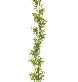 KantoormeubelenPlus Margriet Kunst Slinger - H180 cm - Wit