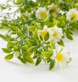 KantoormeubelenPlus Margriet Kunst Slinger - H180 cm - Wit