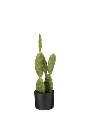 KantoormeubelenPlus Cactus Kunstplant in Bloempot - H50 x Ø25 cm - Groen