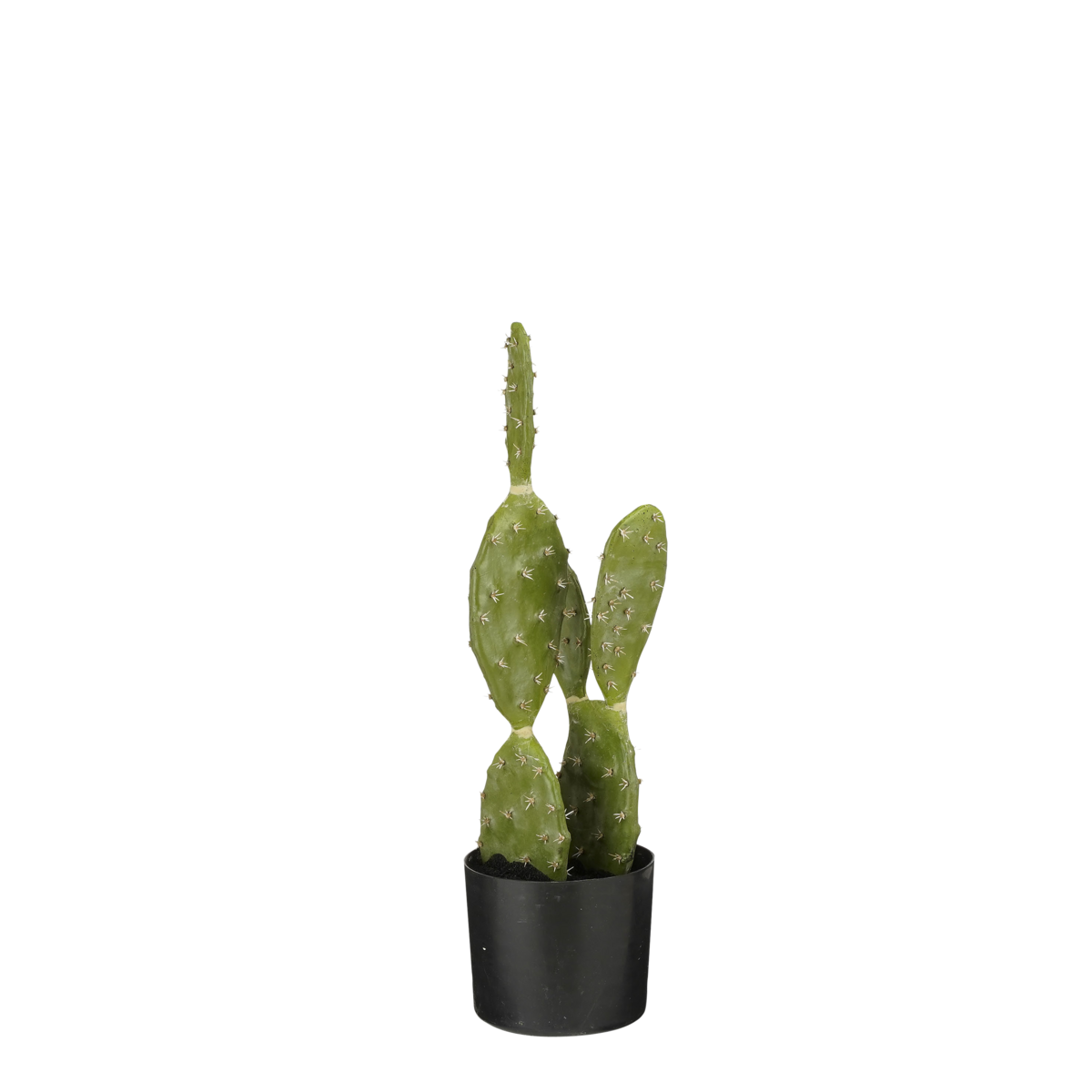KantoormeubelenPlus Cactus Kunstplant in Bloempot - H50 x Ø25 cm - Groen