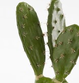 KantoormeubelenPlus Cactus Kunstplant in Bloempot - H50 x Ø25 cm - Groen