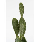 KantoormeubelenPlus Cactus Kunstplant in Bloempot - H50 x Ø25 cm - Groen