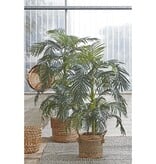 KantoormeubelenPlus Areca palm Kunstplant - H150 x Ø100 cm - groen