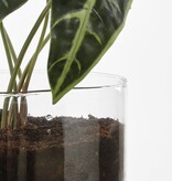 KantoormeubelenPlus Elements Bloempot met Bewateringssysteem - H22 x Ø19 cm - Glas
