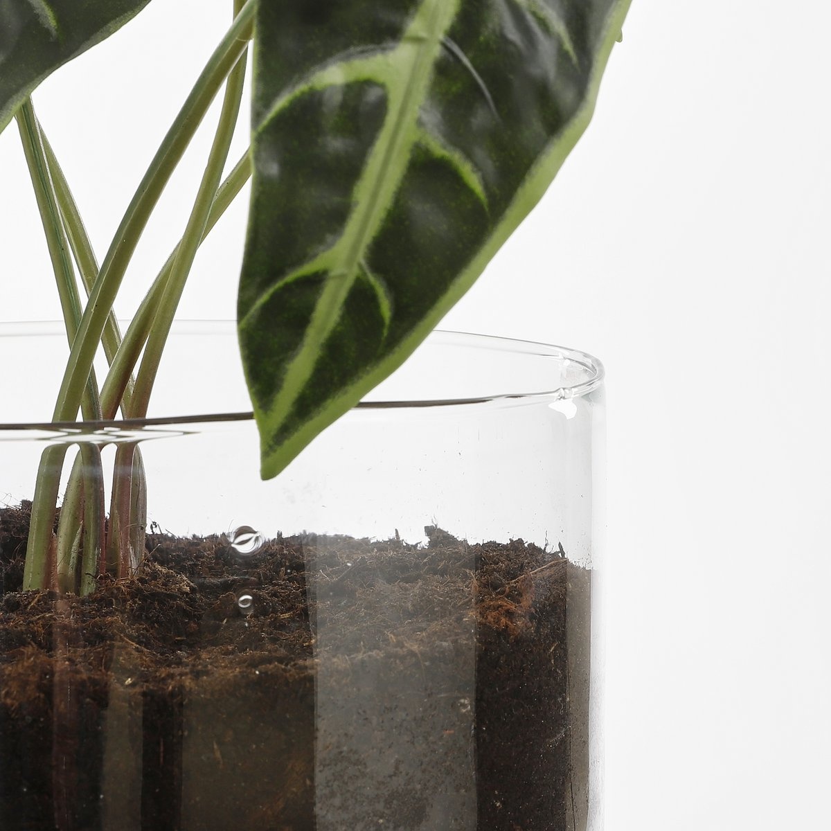 KantoormeubelenPlus Elements Bloempot met Bewateringssysteem - H22 x Ø19 cm - Glas