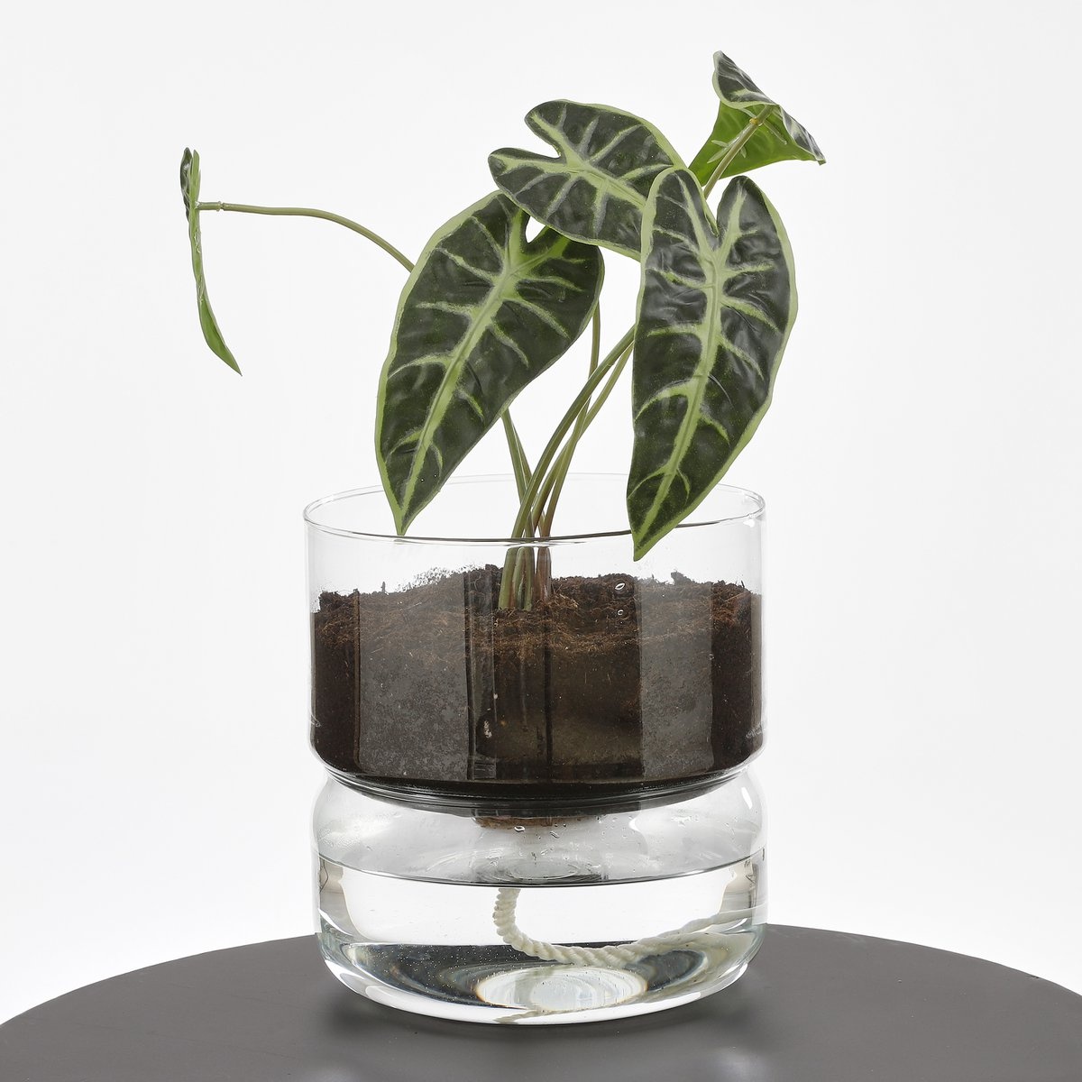 KantoormeubelenPlus Elements Bloempot met Bewateringssysteem - H22 x Ø19 cm - Glas