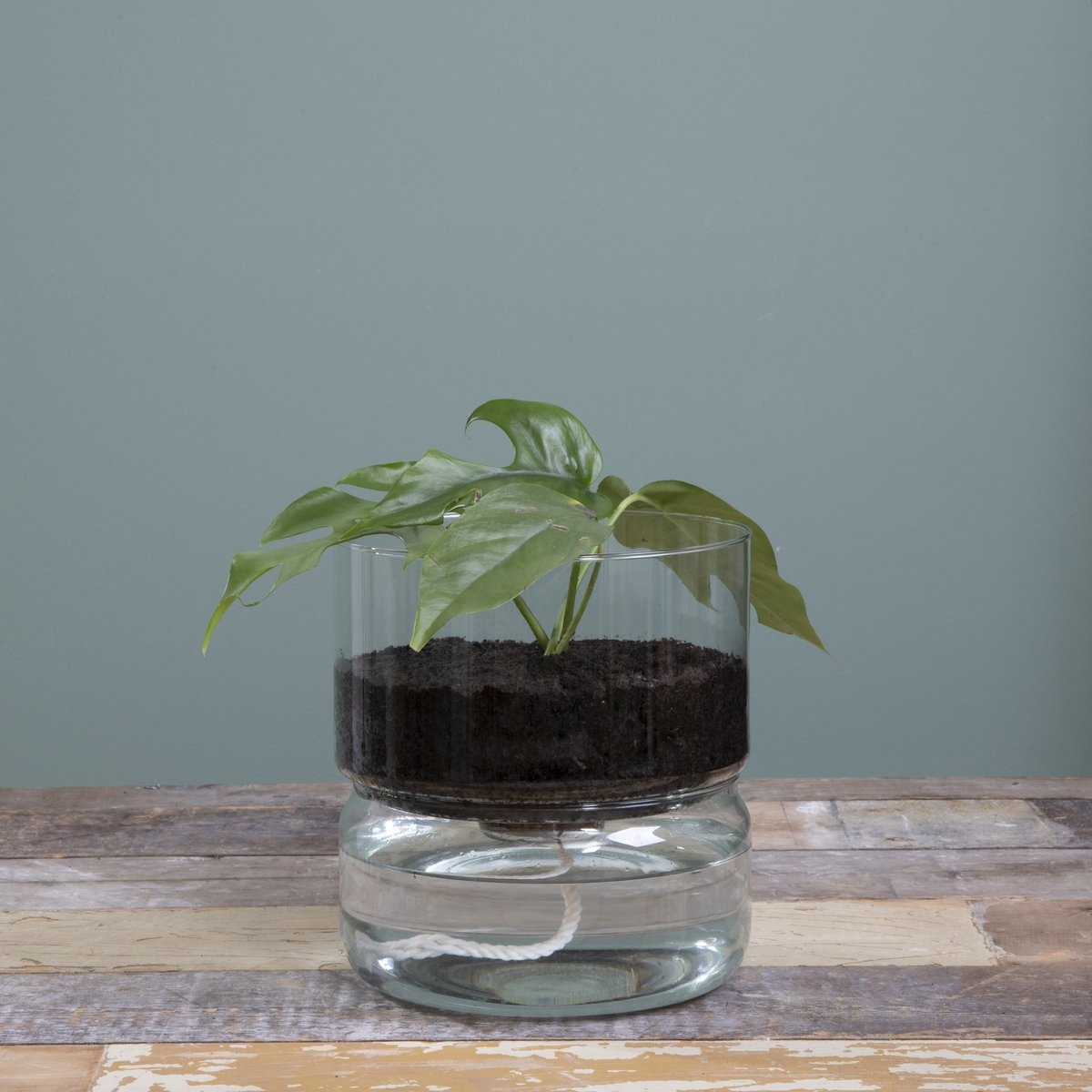 KantoormeubelenPlus Elements Bloempot met Bewateringssysteem - H22 x Ø19 cm - Glas