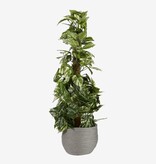 KantoormeubelenPlus Jorck Mand voor Planten - Set van 3 - H24 x Ø26 cm - Papier - Grijs