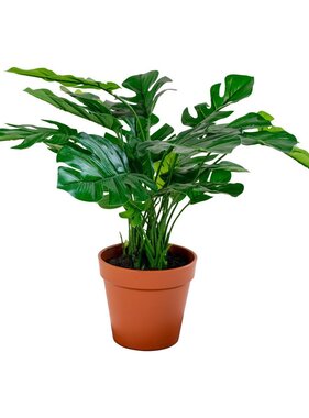 KantoormeubelenPlus Monstera