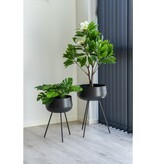 KantoormeubelenPlus Monstera