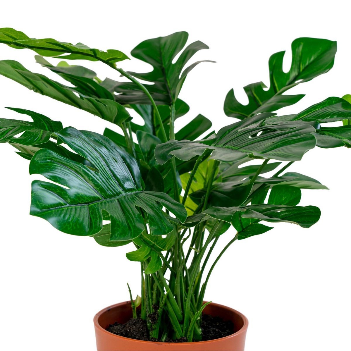 KantoormeubelenPlus Monstera