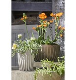 KantoormeubelenPlus Lungo Bloempot - H36 x Ø30 cm - Polypropyleen - FSC Mix - Off White