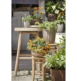 KantoormeubelenPlus Lungo Bloempot - H36 x Ø30 cm - Polypropyleen - FSC Mix - Off White