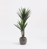 KantoormeubelenPlus Yucca Kunstplant - H120 x Ø60 cm - Groen
