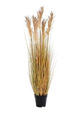 KantoormeubelenPlus Sorghum Gras