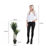 KantoormeubelenPlus Yucca Kunstplant - H120 x Ø60 cm - Groen