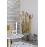 KantoormeubelenPlus Sorghum Gras