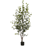 KantoormeubelenPlus Kunstplant Eucalyptusboom in Pot - H180 x Ø80 cm - Groen
