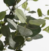 KantoormeubelenPlus Kunstplant Eucalyptusboom in Pot - H180 x Ø80 cm - Groen