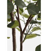 KantoormeubelenPlus Kunstplant Eucalyptusboom in Pot - H180 x Ø80 cm - Groen