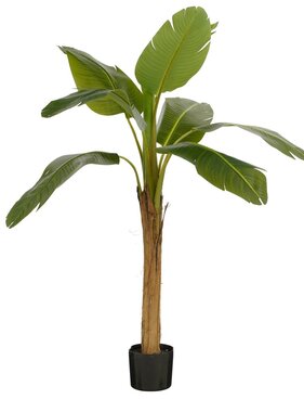 KantoormeubelenPlus Kunstplant Bananenboom in Pot - H155 x Ø90 cm - Groen