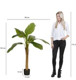 KantoormeubelenPlus Kunstplant Bananenboom in Pot - H155 x Ø90 cm - Groen