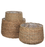 KantoormeubelenPlus Avalon Mand voor Planten - Set van 3 - H32 x Ø44 cm - Zeegras - Lichtbruin