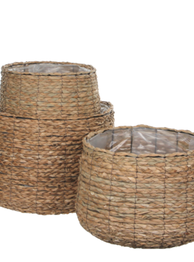 KantoormeubelenPlus Avalon Mand voor Planten - Set van 3 - H32 x Ø44 cm - Zeegras - Lichtbruin