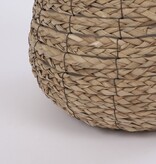 KantoormeubelenPlus Avalon Mand voor Planten - Set van 3 - H32 x Ø44 cm - Zeegras - Lichtbruin