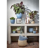 KantoormeubelenPlus Avalon Mand voor Planten - Set van 3 - H32 x Ø44 cm - Zeegras - Lichtbruin